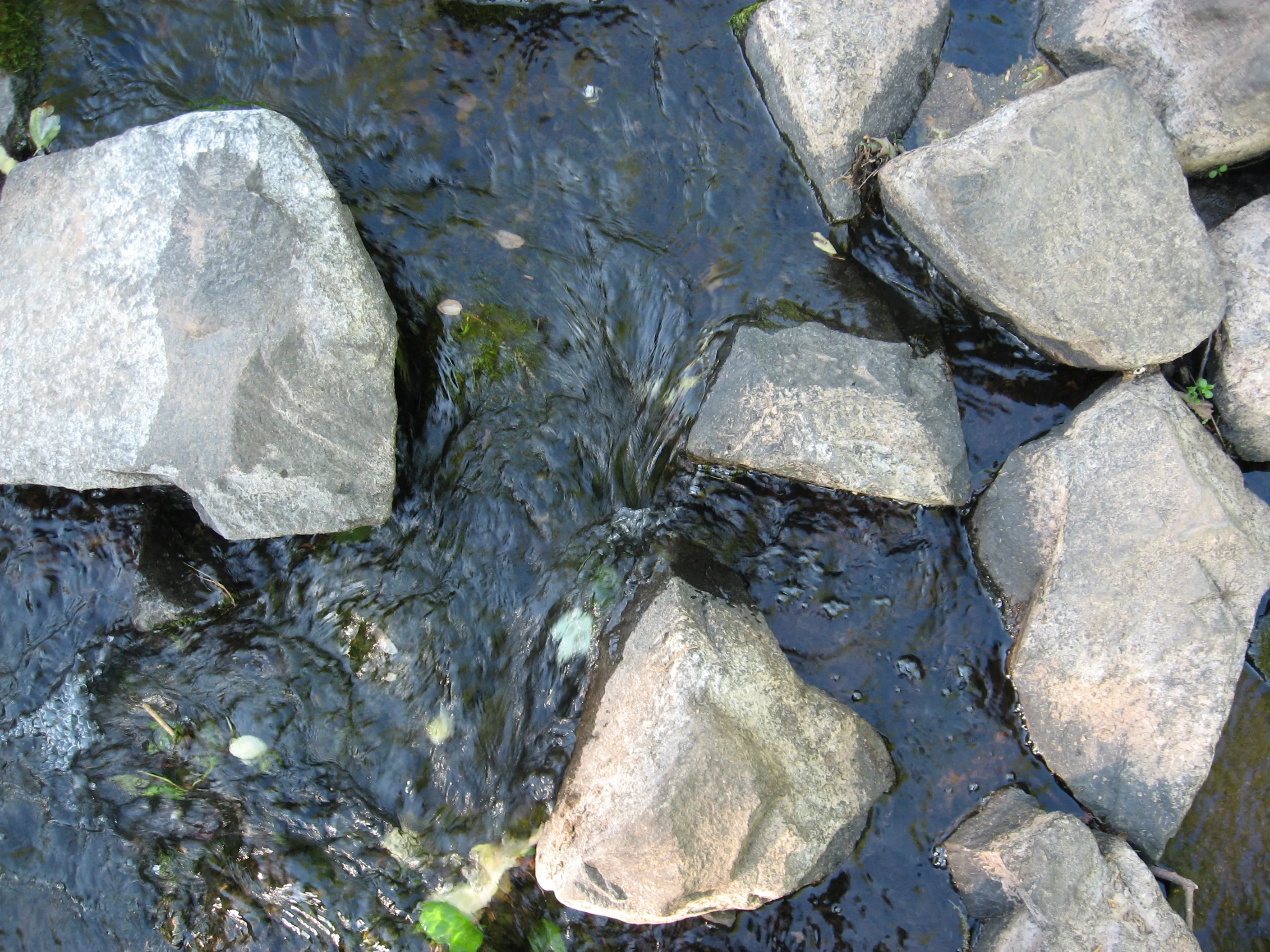 Weiche natürliche Bewegung als Bild für Flowing und das Element Erde.